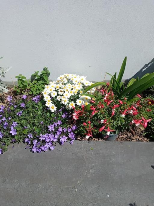 Luxury Holiday Rental With Sea Views On The Wild Atlantic Way Tralee Zewnętrze zdjęcie