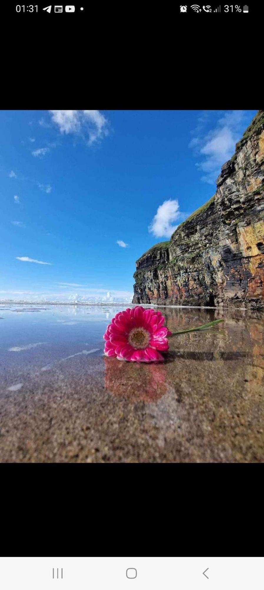 Luxury Holiday Rental With Sea Views On The Wild Atlantic Way Tralee Zewnętrze zdjęcie